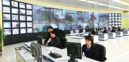 專業群巡禮 青島港灣職業學院信息技術專業群，信息技術咨詢服務探析